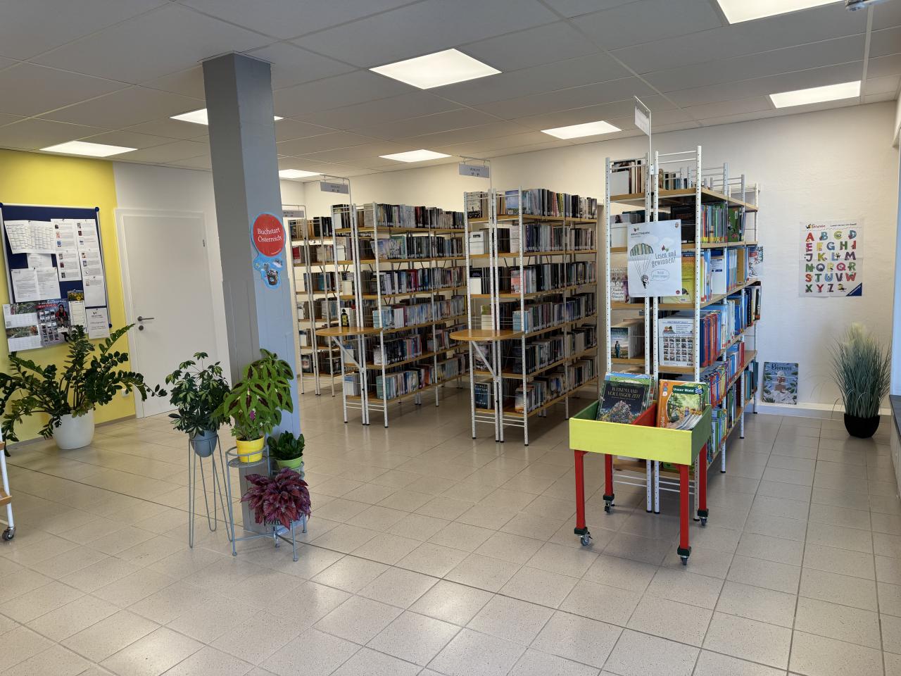 Erwachsenenbücher